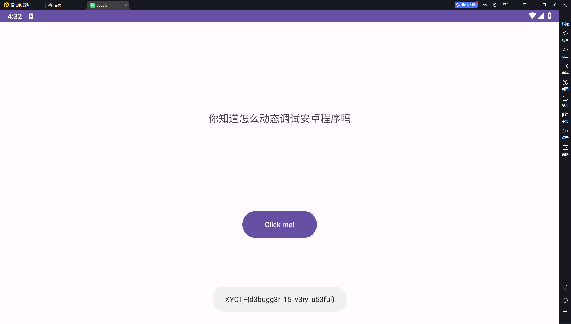DebugMe-flag