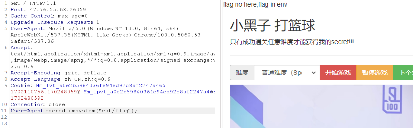ikun-fake_flag