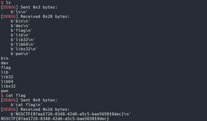 ret2syscall-flag